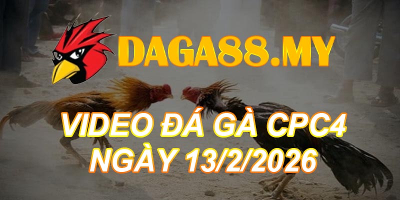 VIDEO GÀ CPC4 NGÀY 13/2/2026