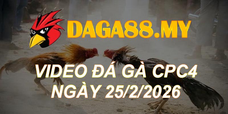 VIDEO GÀ CPC4 NGÀY 25/2/2026