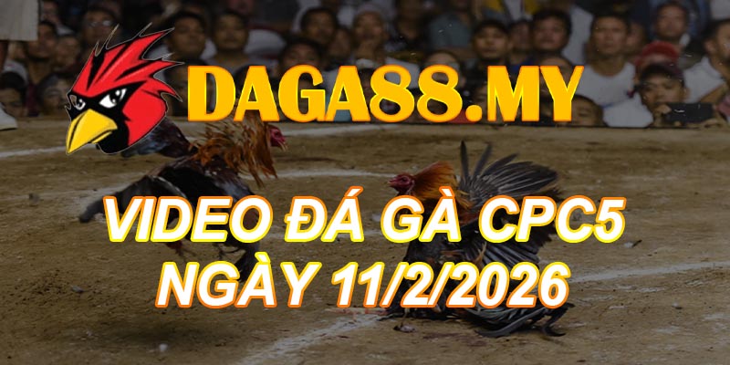 VIDEO GÀ CPC5 NGÀY 11/2/2026