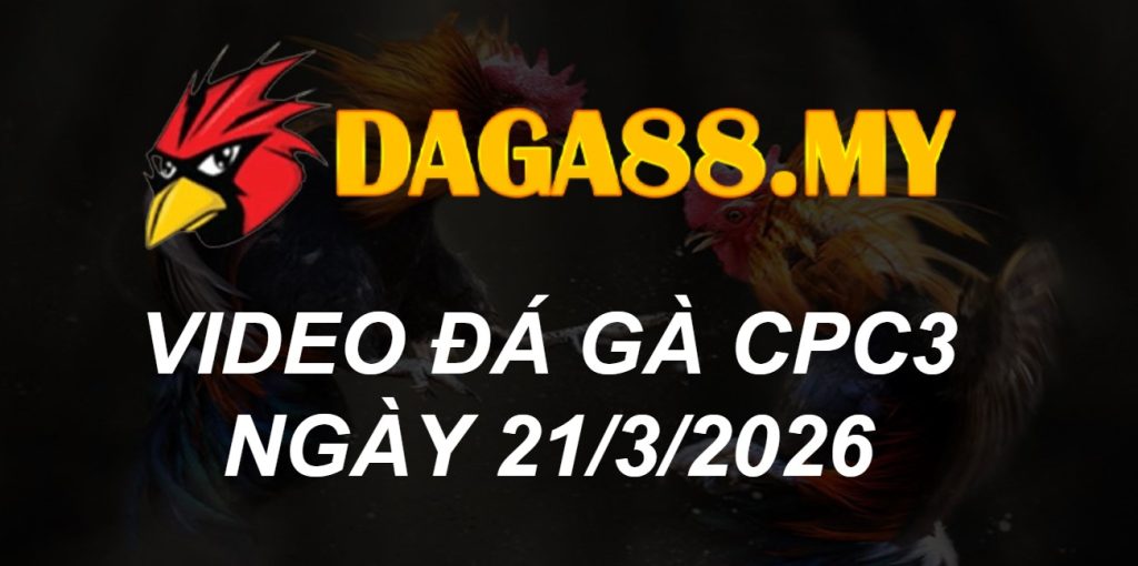 VIDEO GÀ CPC3 NGÀY 21/3/2026