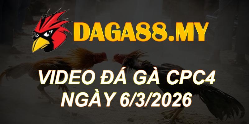 VIDEO GÀ CPC4 NGÀY 6/3/2026