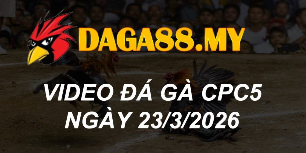VIDEO GÀ CPC5 NGÀY 23/3/2026