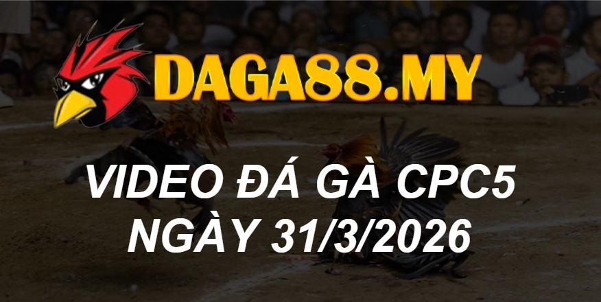 VIDEO GÀ CPC5 NGÀY 31/3/2026