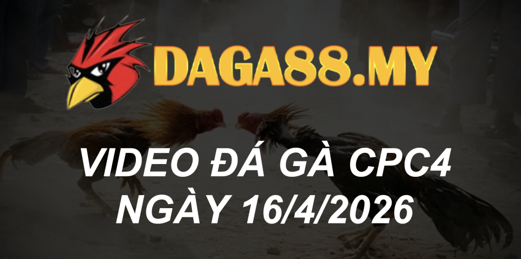 VIDEO GÀ CPC4 NGÀY 16/4/2026
