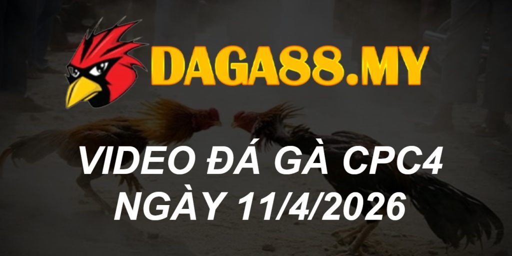 VIDEO GÀ CPC4 NGÀY 11/4/2026