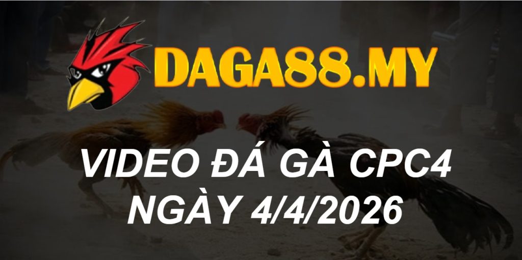 VIDEO GÀ CPC4 NGÀY 4/4/2026